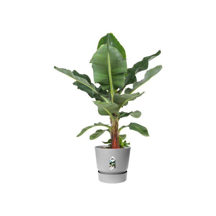 greenville rond 47cm living ciment